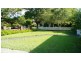 29 BIRNAM GROVE, Strathfield NSW 2135