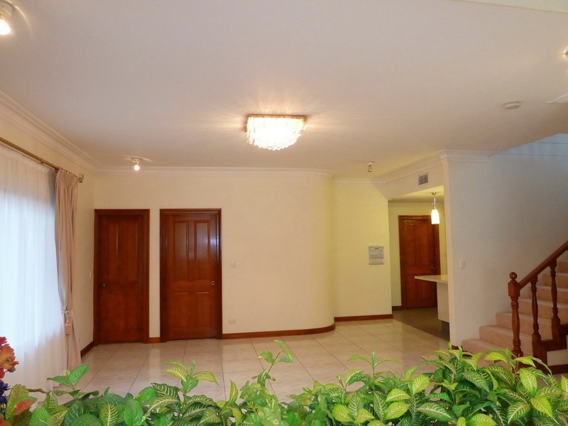 11 ALVISTON STREET, Strathfield NSW 2135