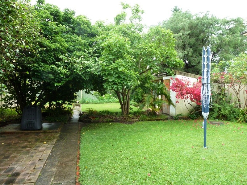 25 JAMES STREET, Strathfield South NSW 2136