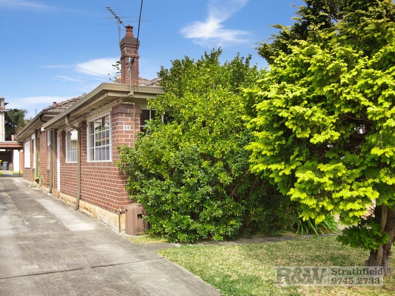 14 LIVINGSTONE STREET, Burwood NSW 2134
