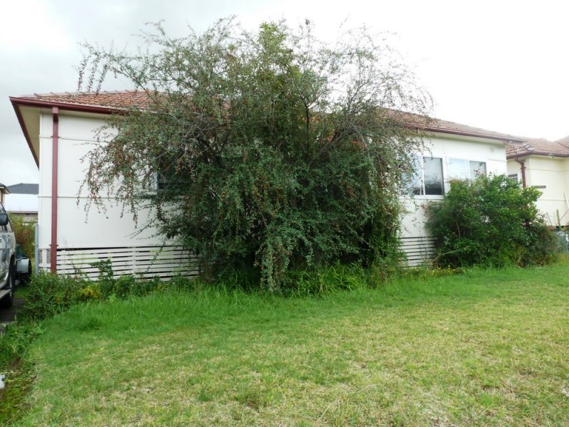 288 NOBLE AVENUE, Greenacre NSW 2190