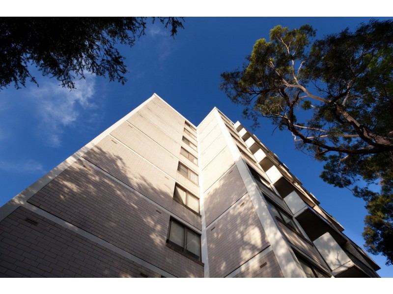 3/17 EVERTON ROAD, Strathfield NSW 2135