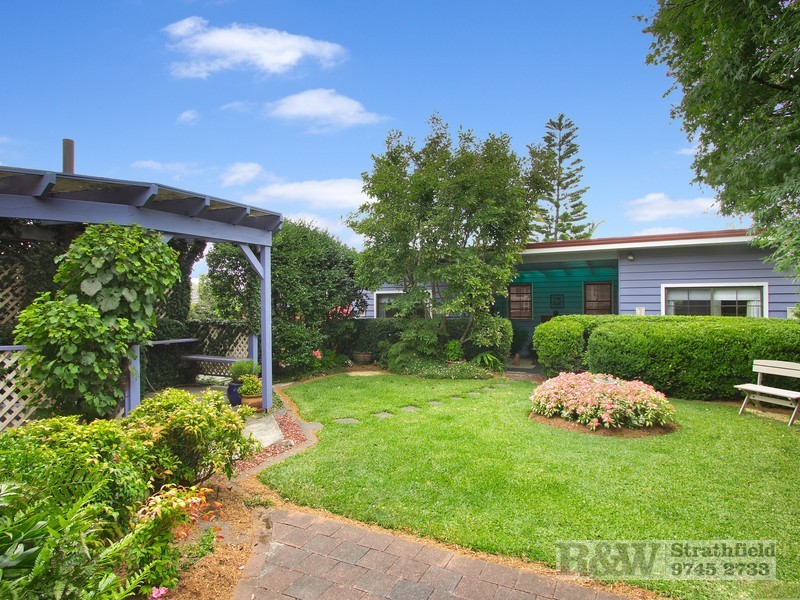 50 HUNTER STREET, Strathfield NSW 2135
