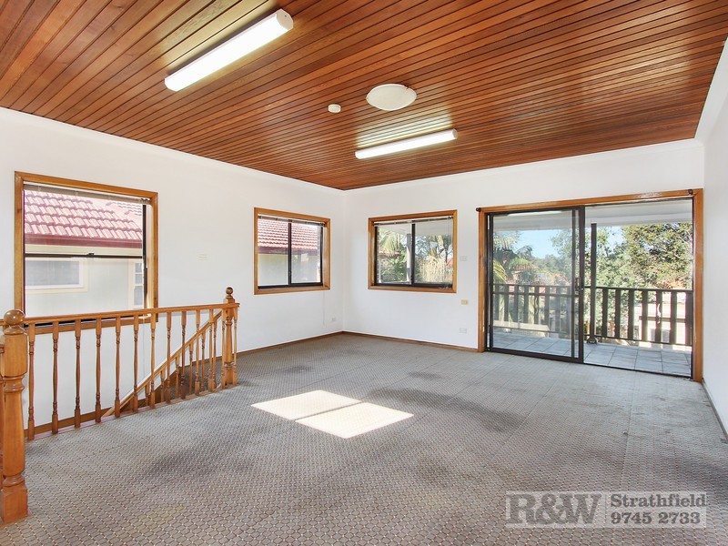 6 SHACKEL AVENUE, Concord NSW 2137