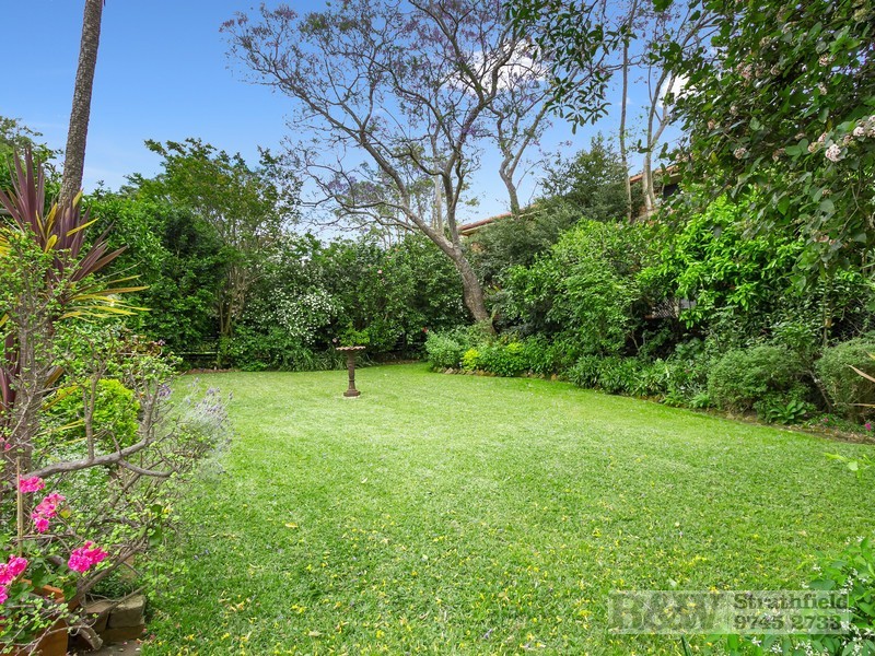 137 ALBERT ROAD, Strathfield NSW 2135