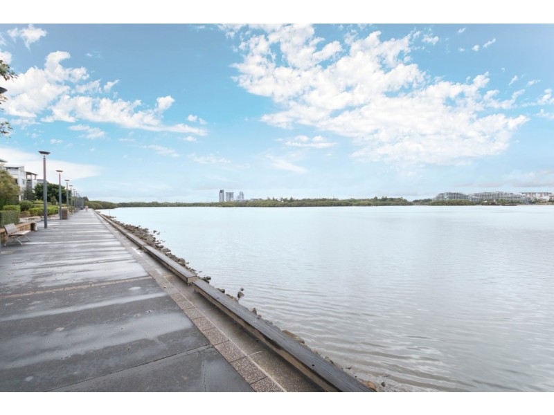 503/2 LEWIS AVE, Rhodes NSW 2138