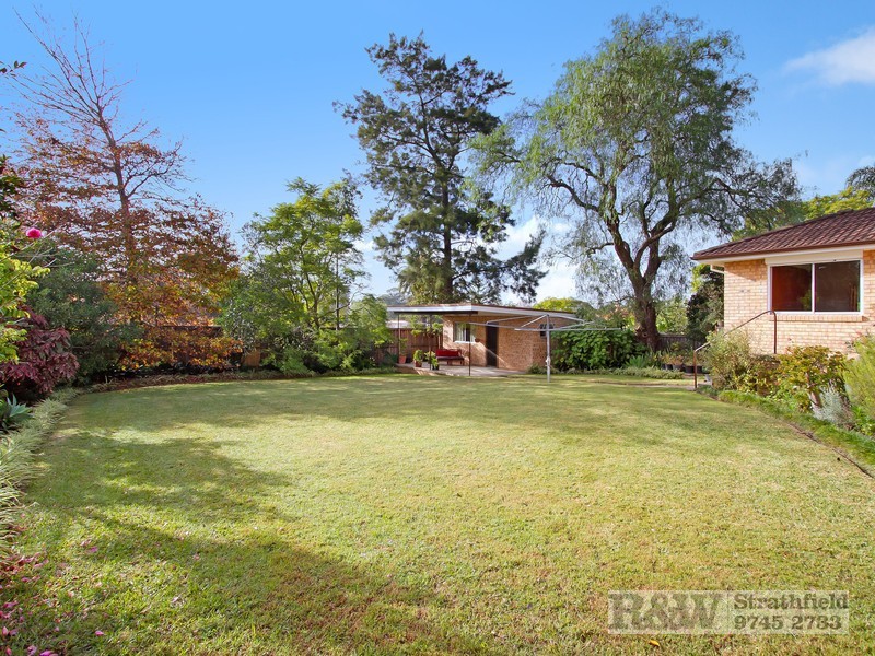 56 HOMEBUSH RD, Strathfield NSW 2135