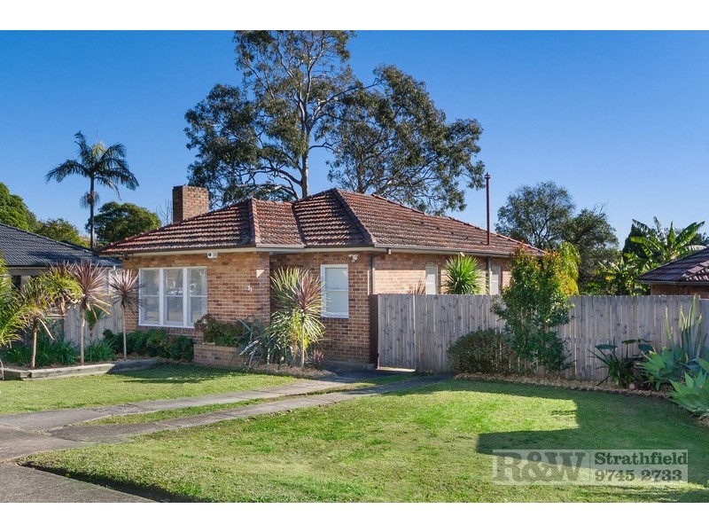 21 NOBLE AVENUE, Strathfield NSW 2135