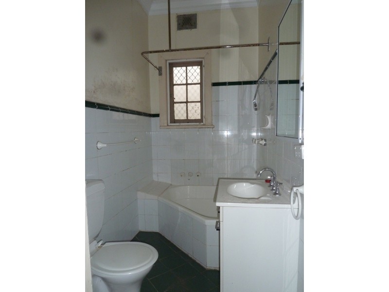 17a and 17b CRANE STREET, Homebush NSW 2140