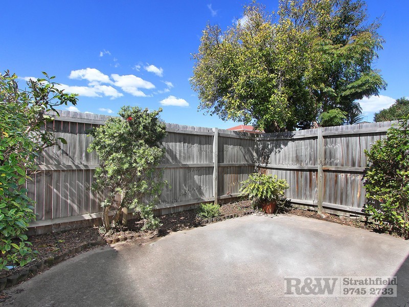 4 LAPISH AVENUE, Ashfield NSW 2131
