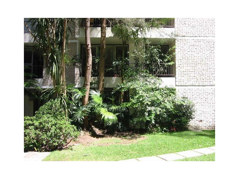 6 Hampden Street, Paddington NSW 2021