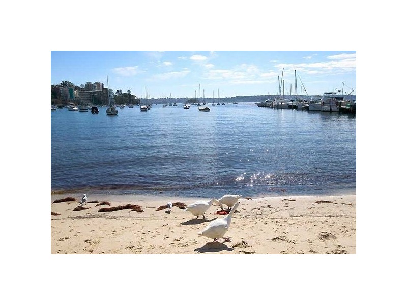 8/24 Stafford Street, Double Bay NSW 2028