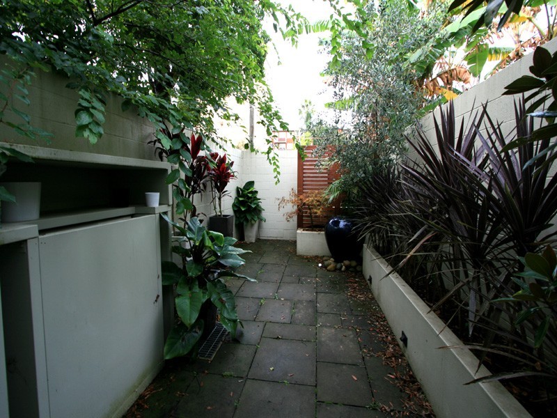 13 Ormond Street, Paddington NSW 2021