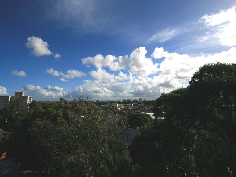 77 Cook Road, Centennial Park NSW 2021