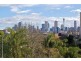 10/121 Ocean Street, Edgecliff NSW 2027