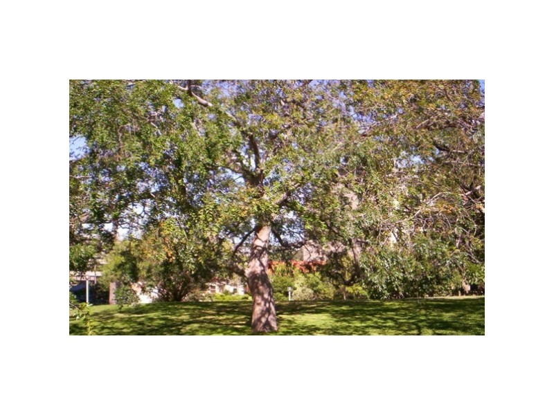 4B/3 Darling Point, Darling Point NSW 2027