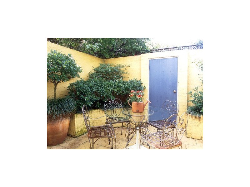 67 Elizabeth Street, Paddington NSW 2021