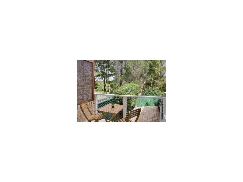 36 Thorne Street, Edgecliff NSW 2027