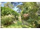 56 Thorne Street, Edgecliff NSW 2027