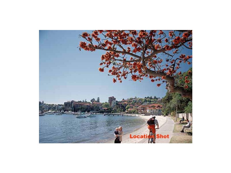 17 Pearce Street, Double Bay NSW 2028