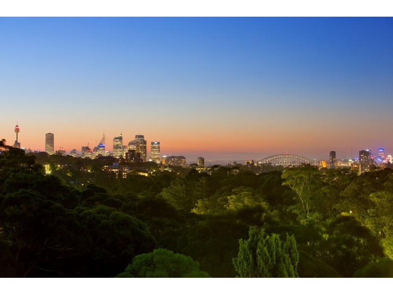 14 Small Street, Woollahra NSW 2025