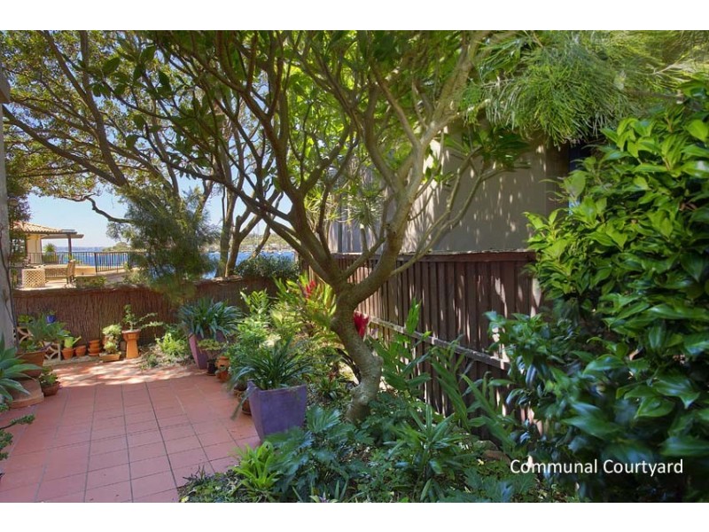 5/77 Fitzwilliam Road, Vaucluse NSW 2030