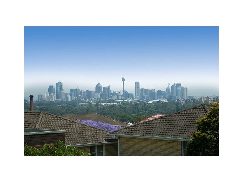 8/15 The Avenue, Randwick NSW 2031