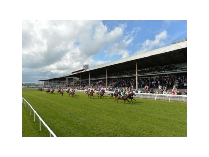 8/15 The Avenue, Randwick NSW 2031