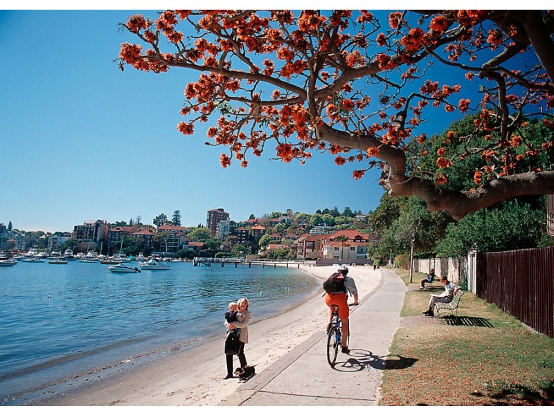 88/177 Bellevue Road, Bellevue Hill NSW 2023