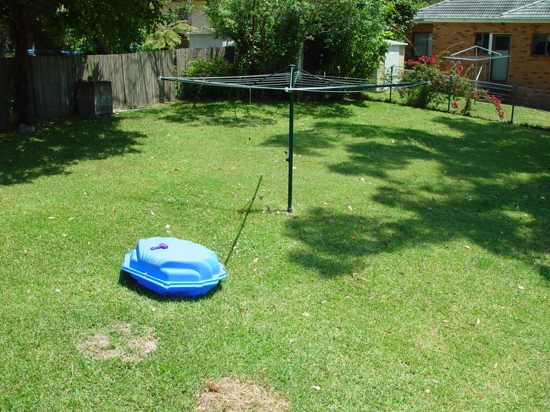 8 Patrick Street, Beacon Hill NSW 2100