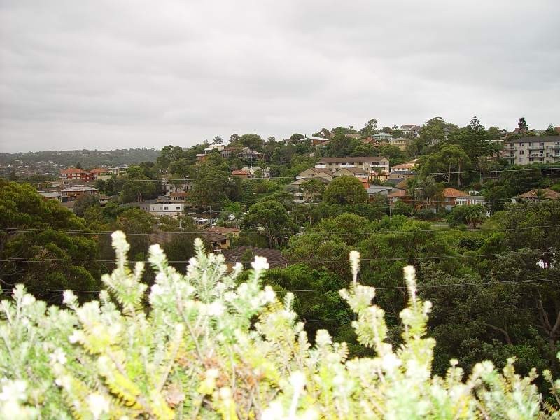 21/35 Dalley Street, Queenscliff NSW 2096