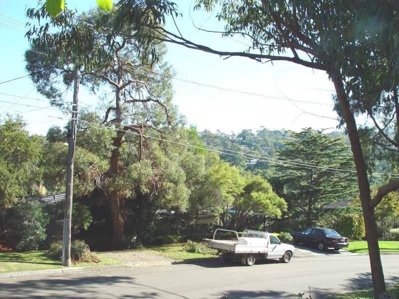 19 Wedgewood Crescent, Beacon Hill NSW 2100