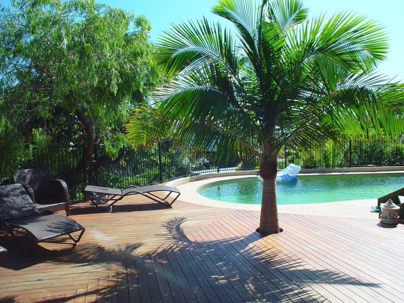 3 Graham Avenue, Freshwater NSW 2096