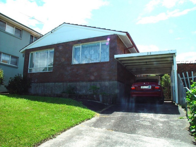 22 Martin Street, Freshwater NSW 2096