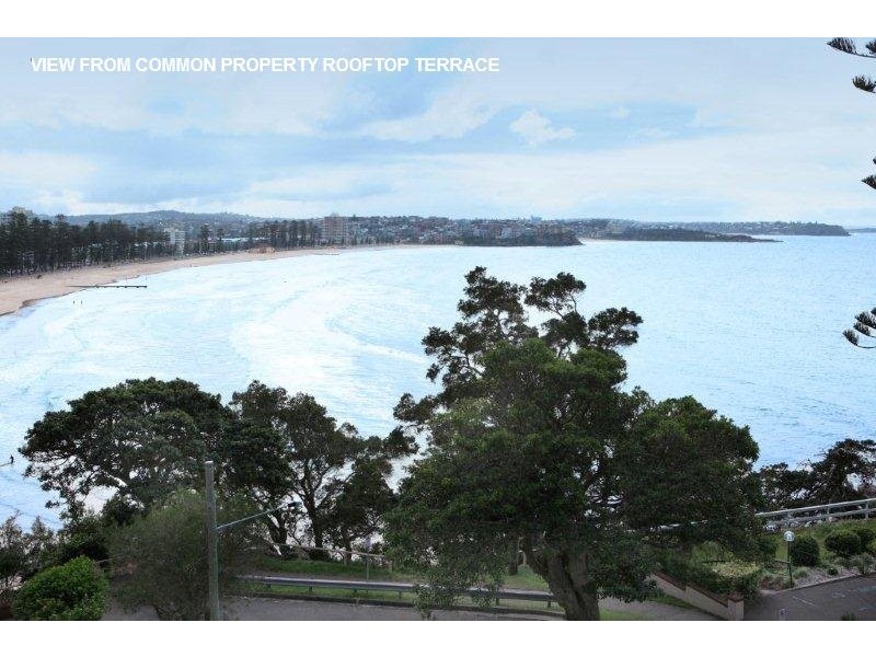 8/127 Bower Street, Manly NSW 2095