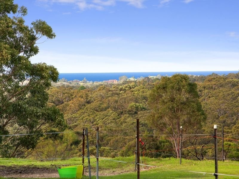 319 McCarrs Creek Road, Terrey Hills NSW 2084