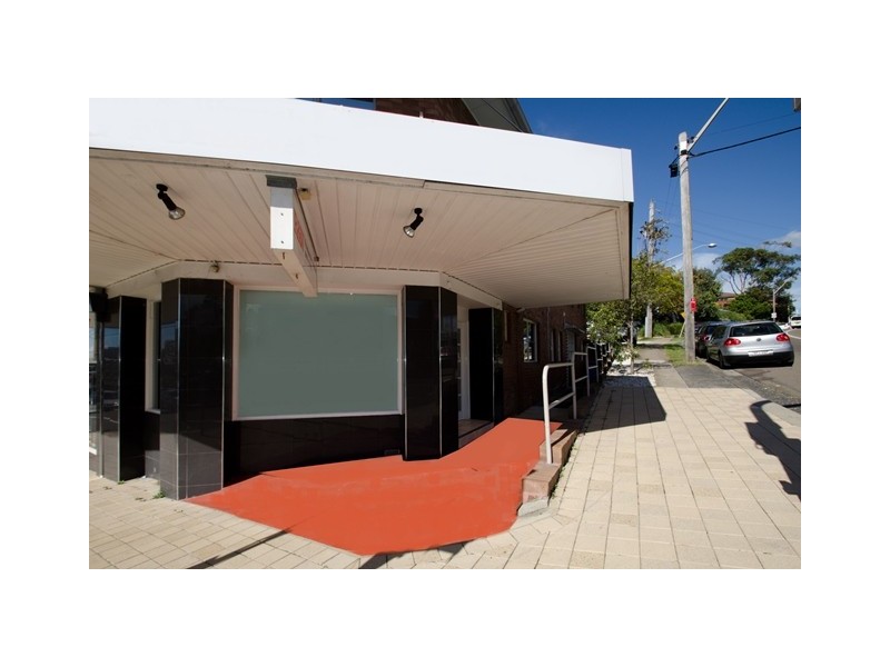 48 Lawrence Street, Freshwater NSW 2096