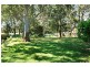 31 Bennett Street, Curl Curl NSW 2096