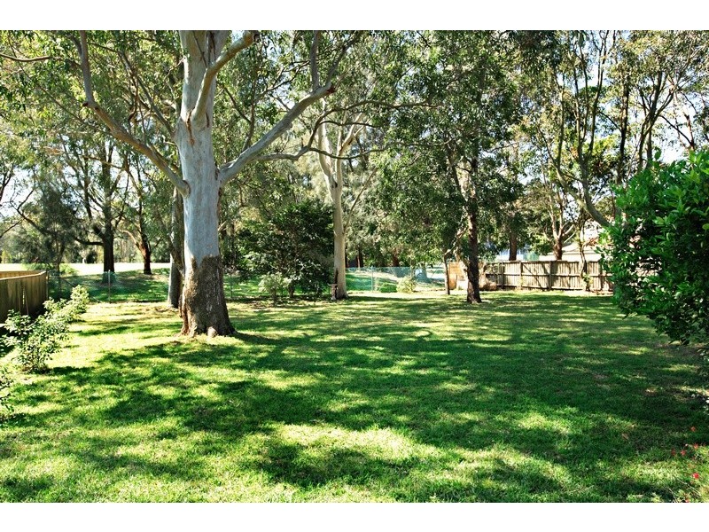 31 Bennett Street, Curl Curl NSW 2096