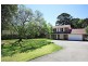 31 Bennett Street, Curl Curl NSW 2096