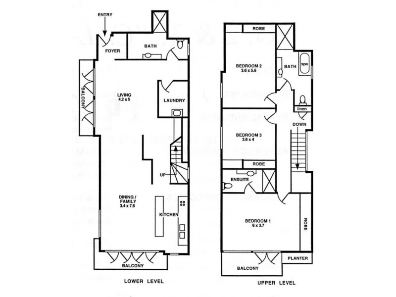 3/13 Roscoe Street, Bondi NSW 2026