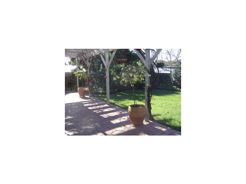 5 Ward Street, Willoughby NSW 2068