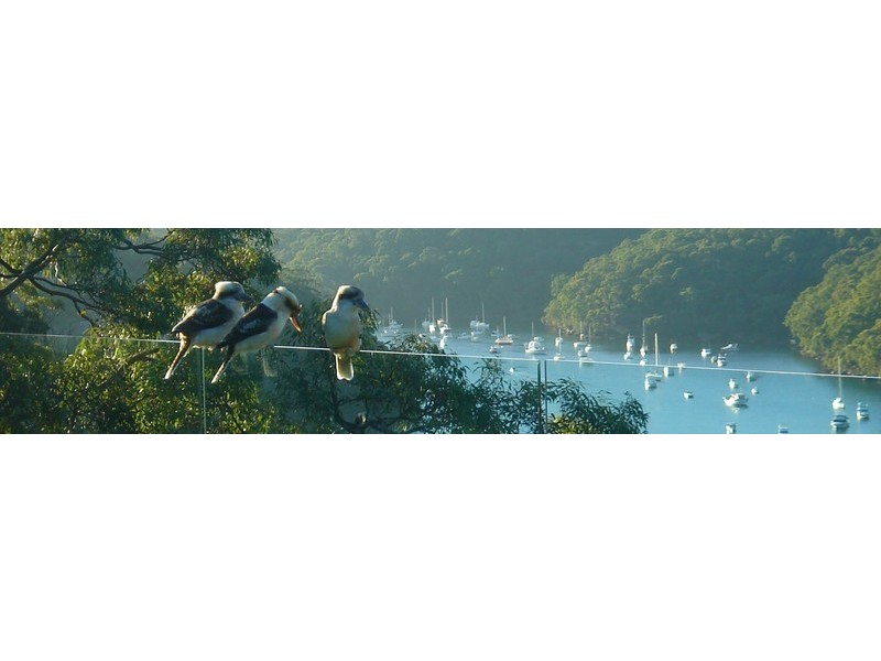 103 Neerim Road, Castle Cove NSW 2069