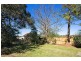 15 Windsor Road, Willoughby NSW 2068
