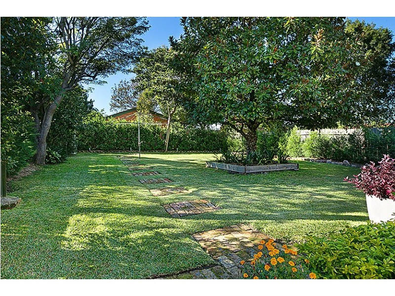 11 Windsor Road, Willoughby NSW 2068