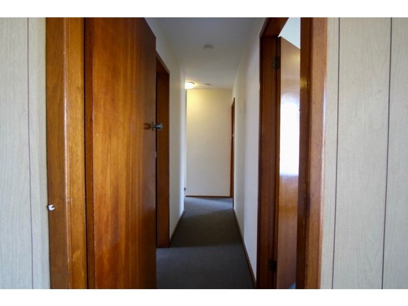 29 Mountview Avenue, Beverly Hills NSW 2209