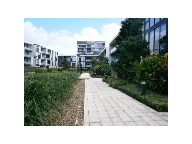 814/2B Defries Avenue, Zetland NSW 2017