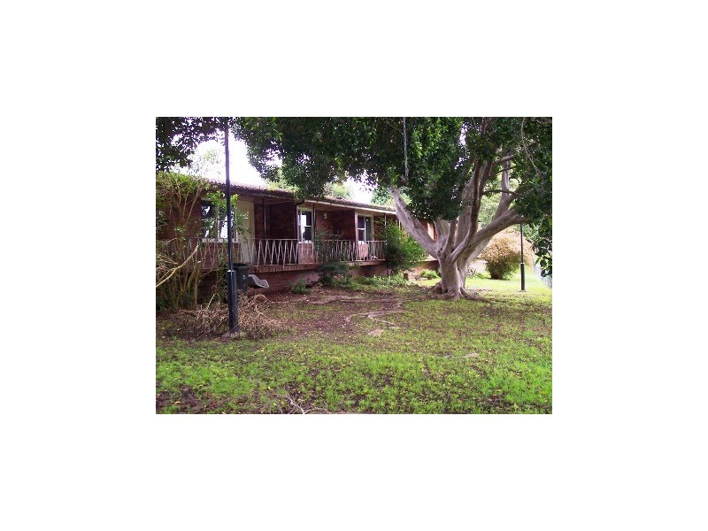 16 Basil Street, Riverwood NSW 2210