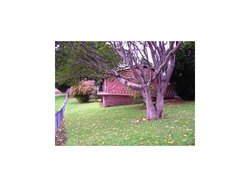 16 Basil Street, Riverwood NSW 2210