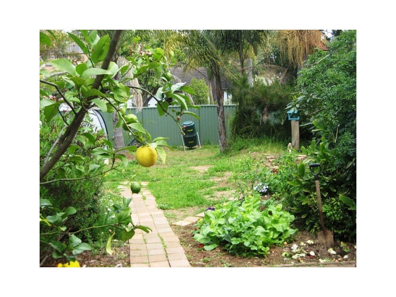 38 Hugh Avenue, Peakhurst NSW 2210